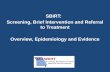 SBIRT:   Screening, Brief Intervention and Referral to Treatment