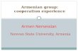 Armenian group: cooperation experience