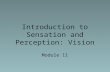 Introduction to Sensation and Perception: Vision Module 11
