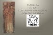 ASAMBLEA DE  LA  COMUNIDAD  PARROQUIAL CORAZÓN DE MARÍA Curso - 2012-2013 ZARAGOZA