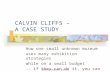 CALVIN CLIFFS â€“  A CASE STUDY