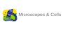 Microscopes & Cells