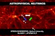 ASTROPHYSICAL NEUTRINOS