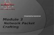 Module 3  Network Packet Crafting
