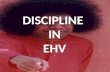 DISCIPLINE  IN EHV
