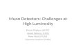 Muon  Detectors:  Challenges  at High Luminosity