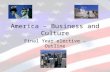America – Business and Culture