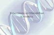 Extensions on  Mendelian  Genetics
