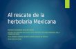 Al rescate de la herbolaria Mexicana