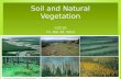 Soil and  Natural Vegetation