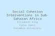 Social Cohesion Interventions in Sub-Saharan Africa