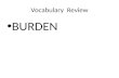 Vocabulary  Review