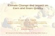 Climate Change and Impact on Corn and Grain Quality