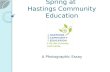 Spring at  Hastings Community Education