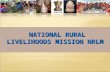 NATIONAL RURAL LIVELIHOODS MISSION  NRLM