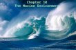 Chapter 10 The Marine Environment