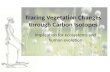 Tracing Vegetation Changes through Carbon Isotopes