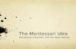 The Montessori  idea