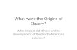 What were the Origins of Slavery?
