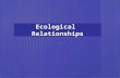 Ecological  Relationships
