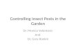 Controlling  Insect Pests  in the Garden