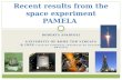 Recent results from the space experiment PAMELA