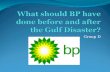 What should BP have done before and after the Gulf Disaster?