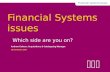 Financial Systems issues