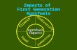 Impacts of  First Generation Agrofuels