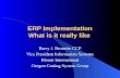 ERP Implementation What is it really like