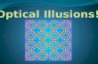 Optical Illusions!