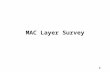 MAC Layer Survey