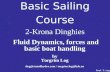 Basic Sailing Course 2-Krona Dinghies