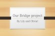 Our Bridge project
