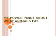 My power point about what animals eat .
