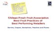 Chilean Fresh Fruit Association Best Fruit Practices of  Best Performing Retailers