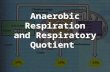 Anaerobic Respiration and Respiratory Quotient
