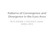 Patterns of Convergence and Divergence in the Euro Area