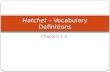Hatchet  – Vocabulary Definitions