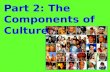 Part 2: The Components of Culture