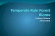 Temperate Rain Forest Biome