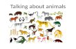 Talking about animals
