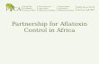 Partnership for Aflatoxin Control in Africa