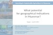 What  potential for  geographical  indications in  Myanmar ?