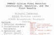 PHENIX  Silicon Pixel Detector  Construction, Operation, and the first Results
