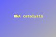 RNA catalysis