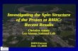 Investigating the Spin Structure of the Proton at RHIC: Recent Results
