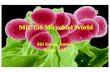 MIC159 Microbial  World
