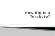 How Big Is a Terabyte?