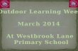 Outdoor Learning Week March 2014  At Westbrook Lane  Primary School